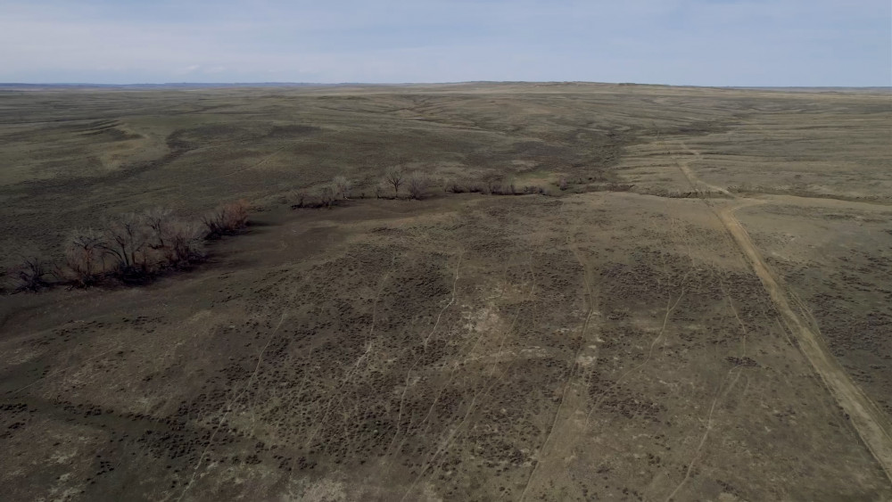Schiffer Ranch Co. - Hansen Place