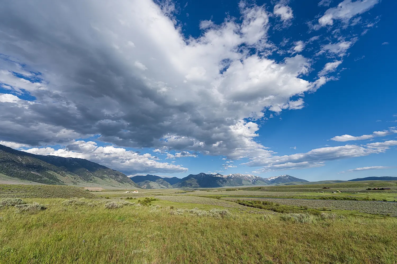 Madison Spring Creek Ranch