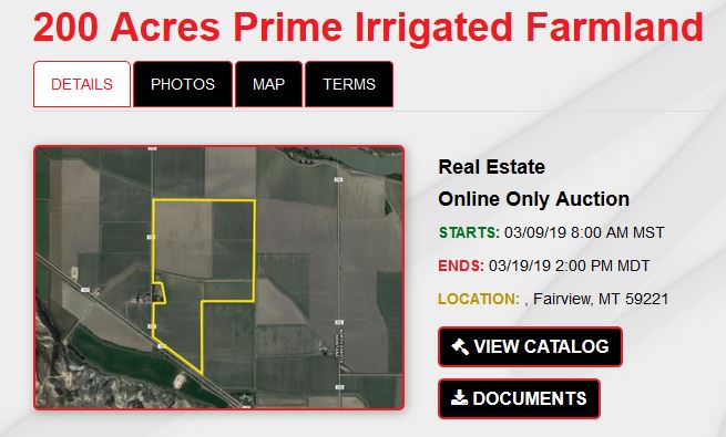 Online Land Auction