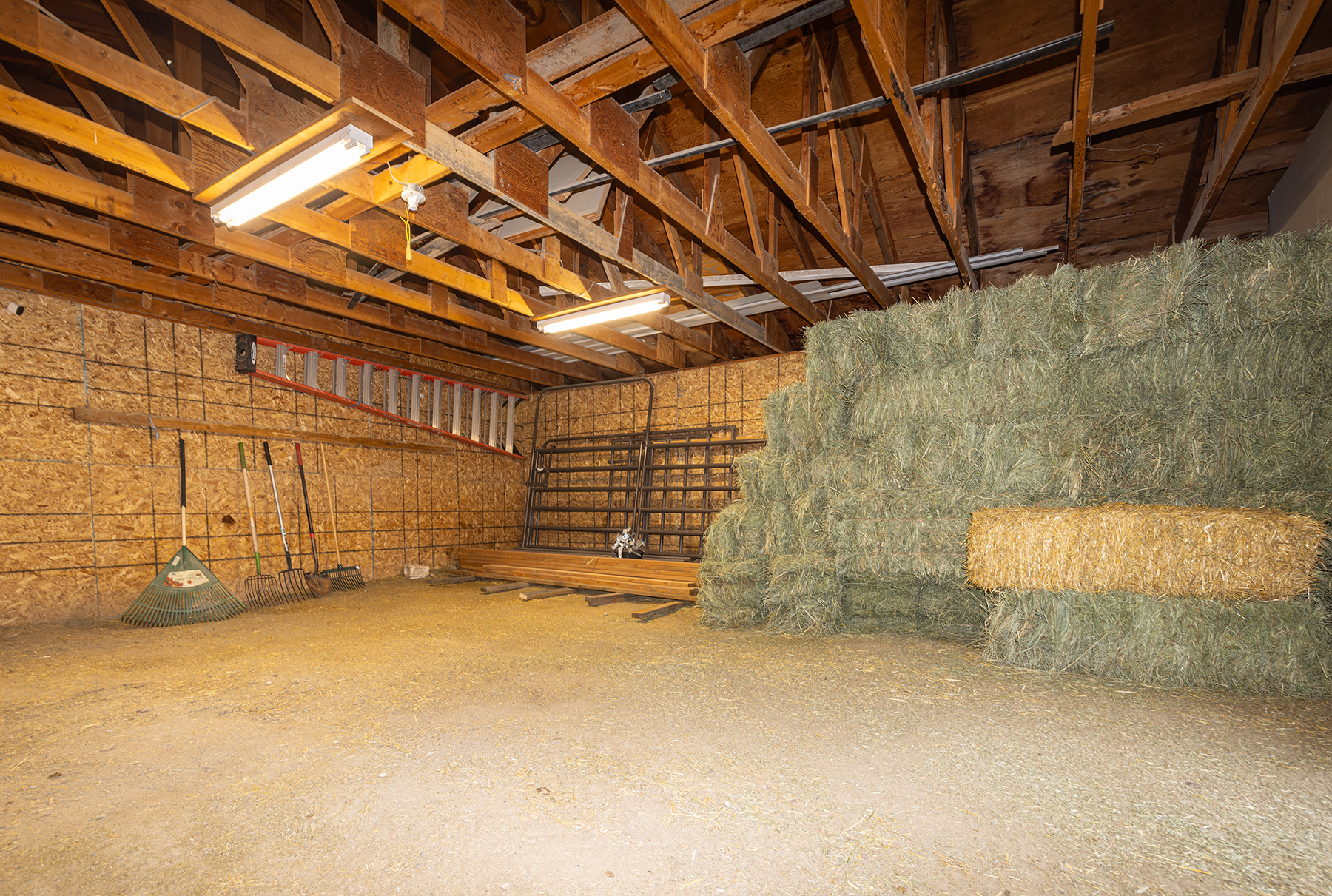 Sun River Equestrian