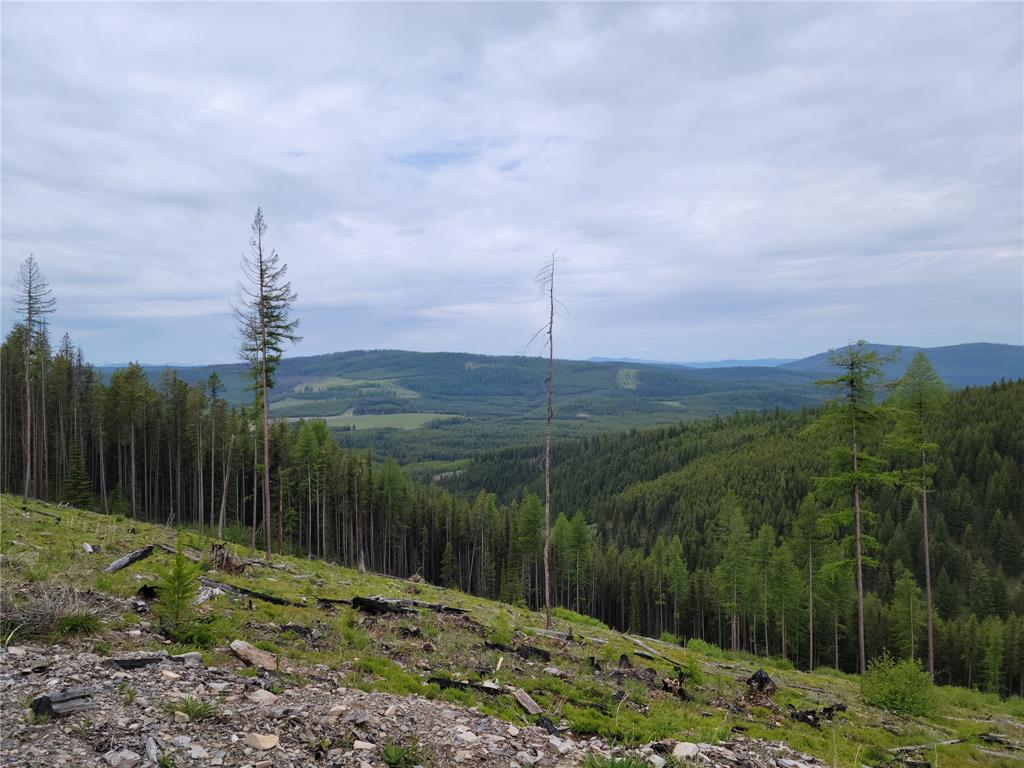 Griffin Creek Road - 623 Acres
