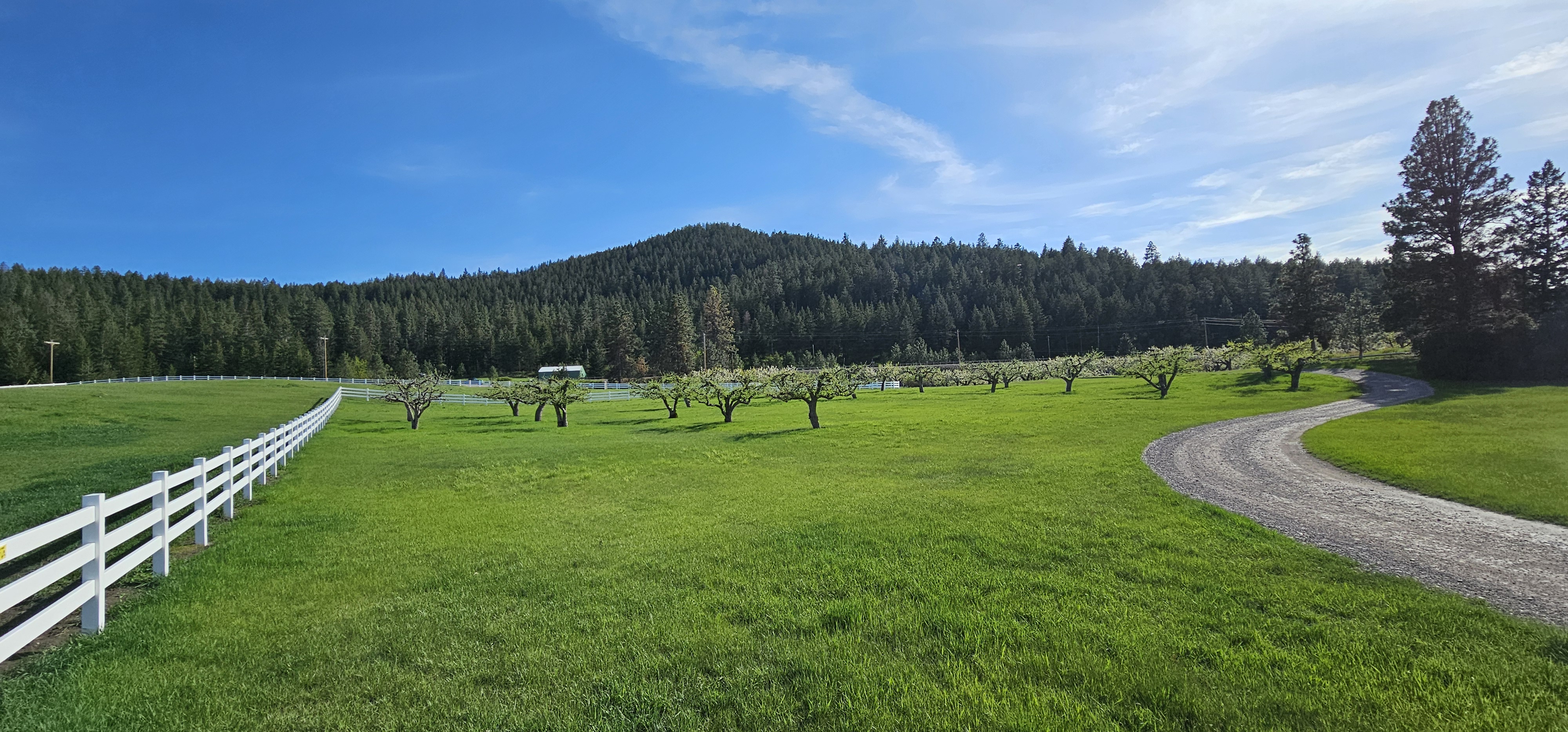 39784 US Highway 93