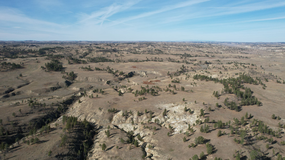 Little Rosie Ranch