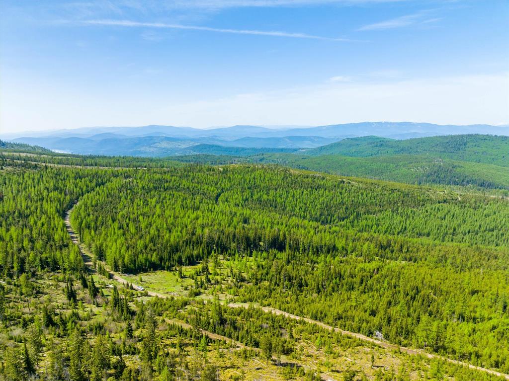 Griffin Creek Road - West