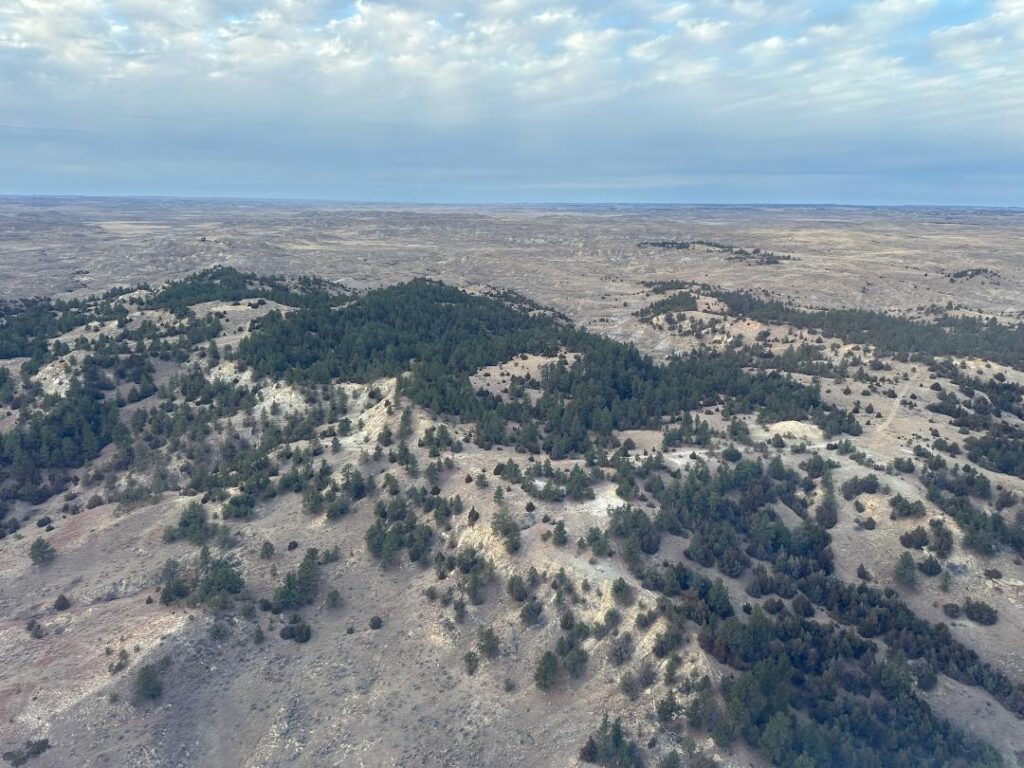 Tonn Ranch