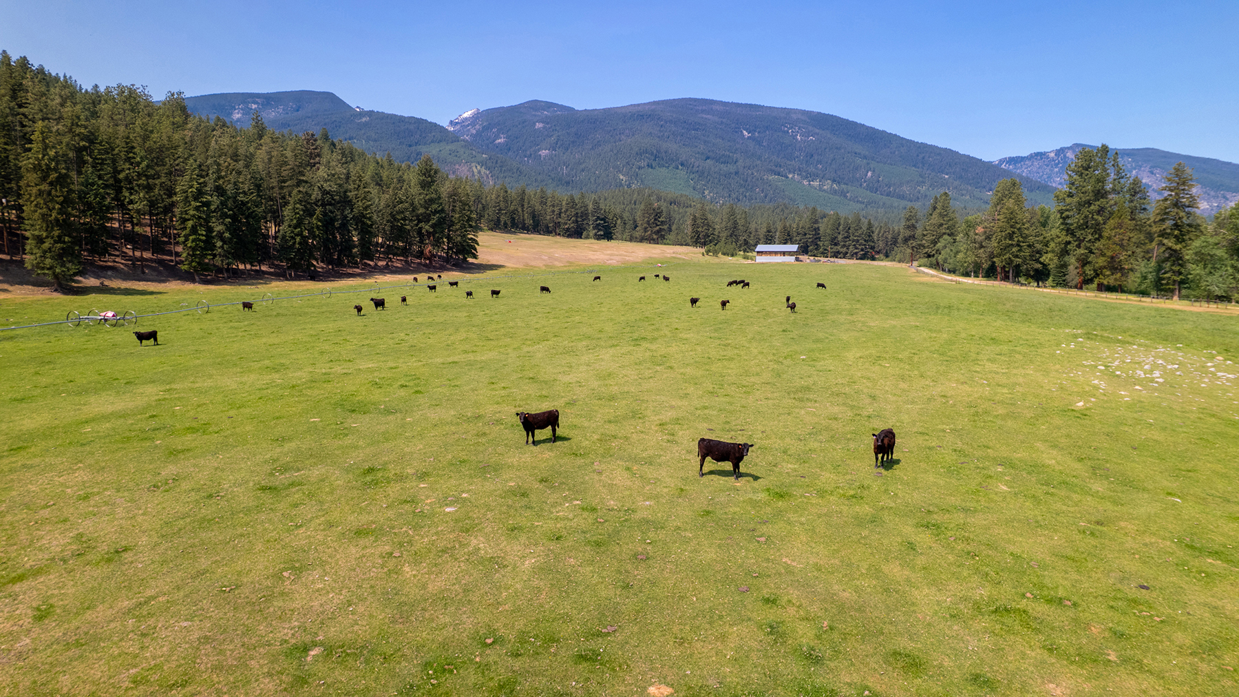 Two Feathers Ranch