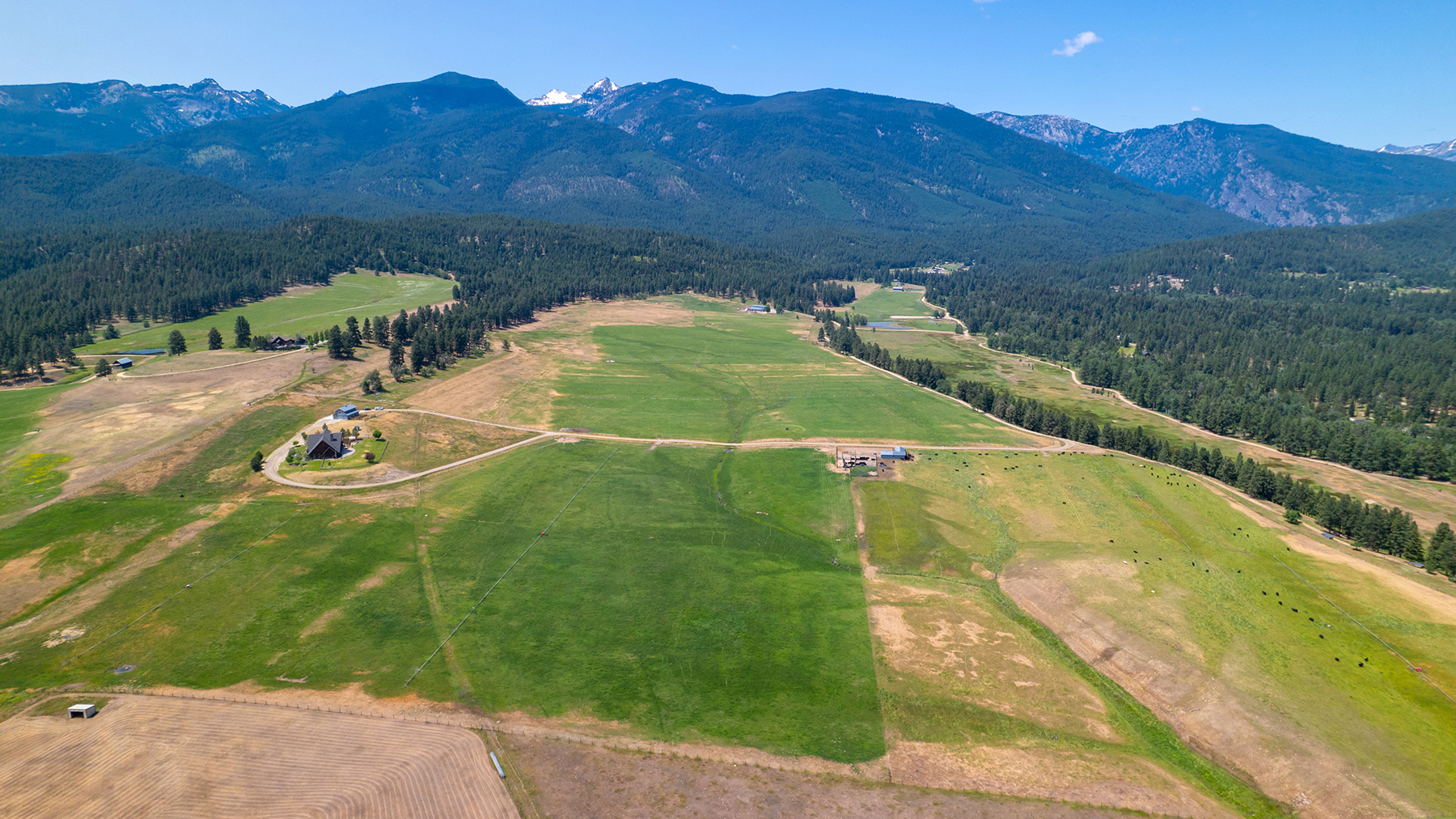 Two Feathers Ranch
