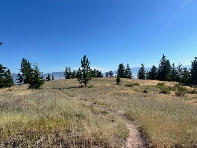 Parcel 2A Dry Gulch Road