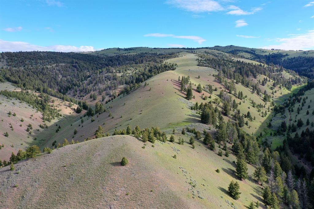 Running J Ranch