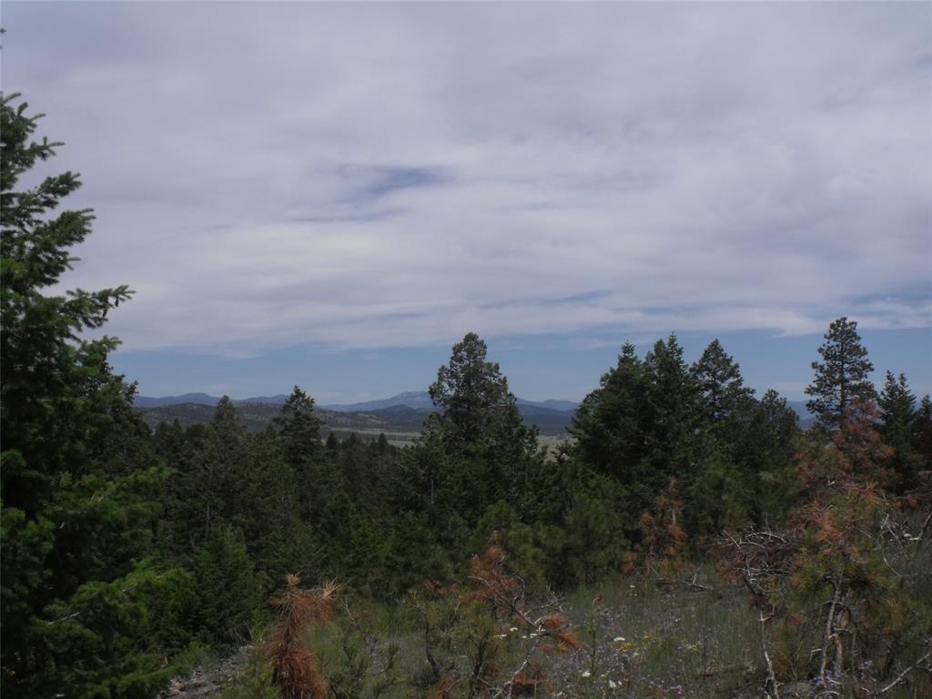 Hidden Springs Drive
