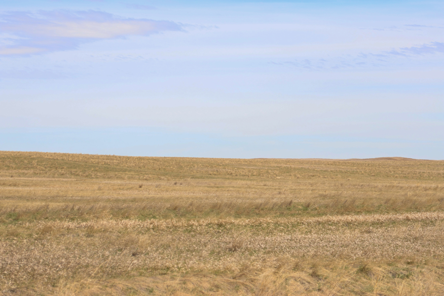 Flaxville Property - 308 Acres