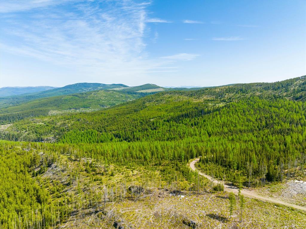 Griffin Creek Road - East