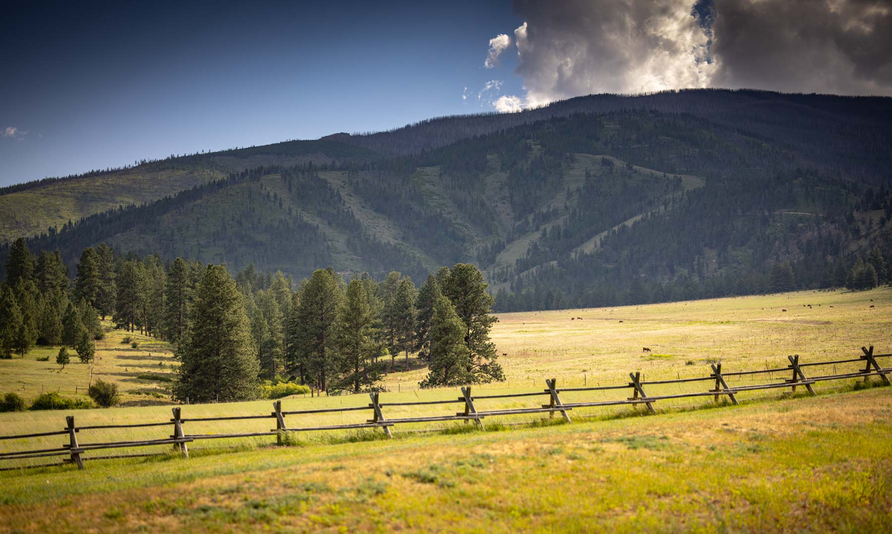 Lolo Ranch