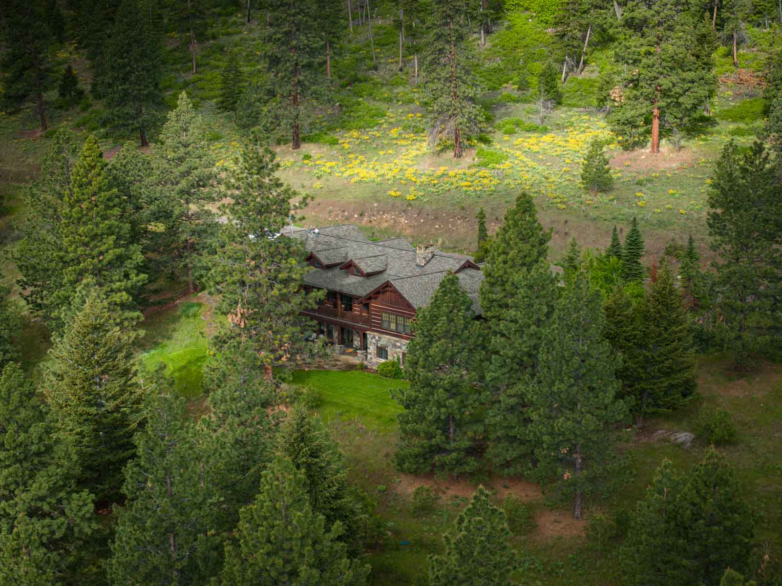 Lolo Ranch