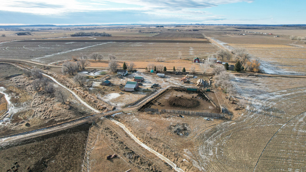 Feed Yard, LLC